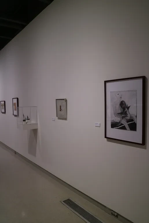 Fresno Art Museum — gallery wall with framed drawings and display cases